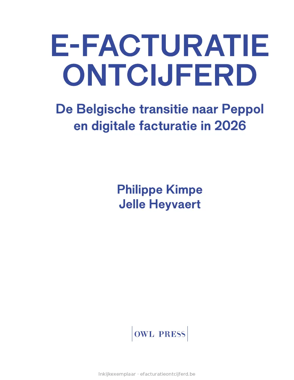 Pagina 3 uit E-facturatie Ontcijferd