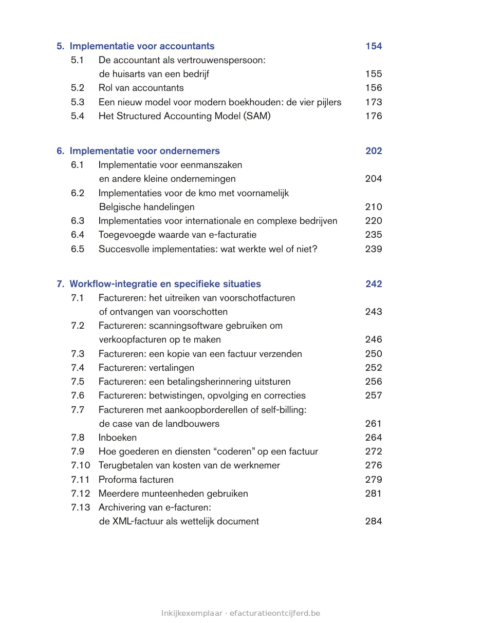Pagina 6 uit E-facturatie Ontcijferd