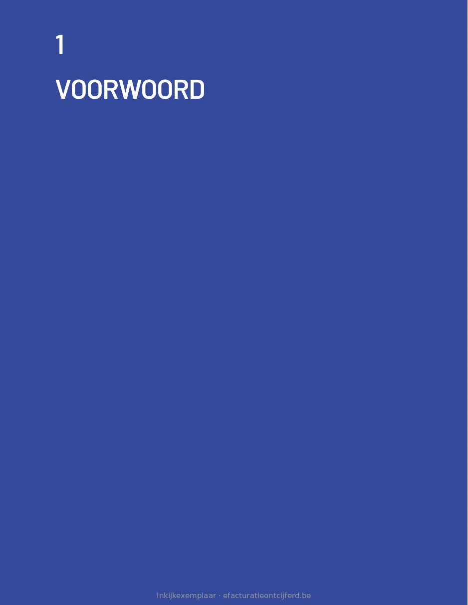 Pagina 10 uit E-facturatie Ontcijferd