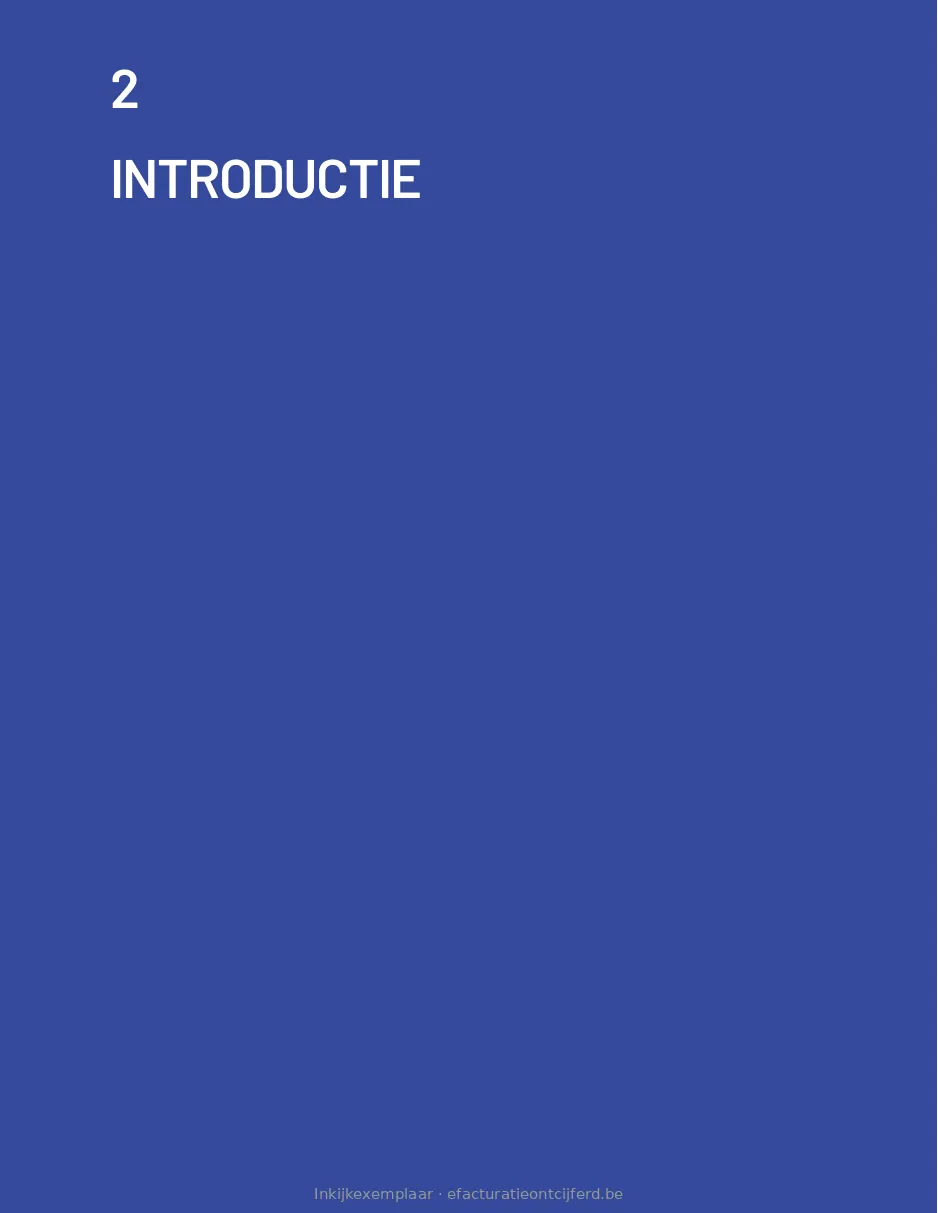 Pagina 14 uit E-facturatie Ontcijferd
